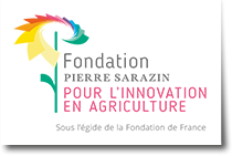 Fondation Pierre Sarazin